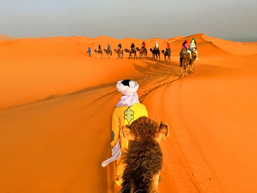 Private Desert Tours