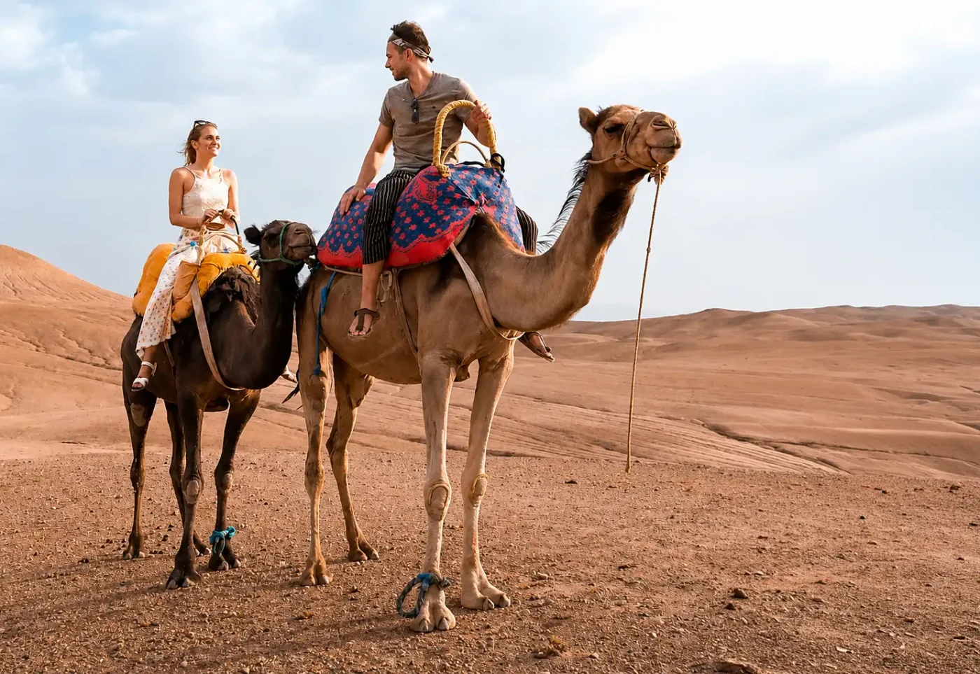 Camel Ride in Agafay Desert