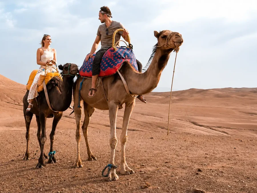 Camel Ride in Agafay Desert
