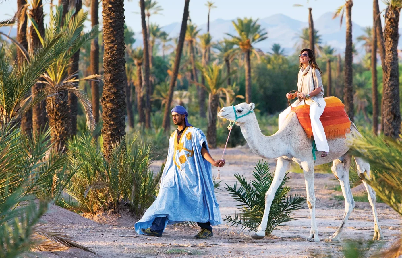 Marrakech Camel Tour