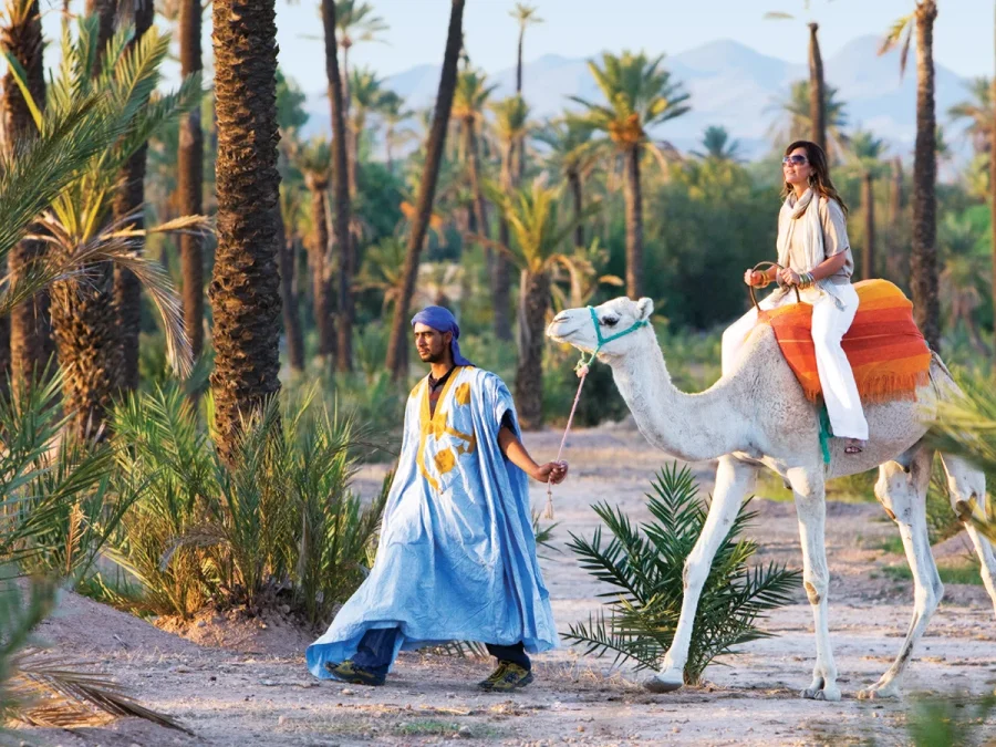 Marrakech Camel Tour